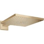 Cap de dus cu brat Hansgrohe Raindance E, 300x300 mm, bronz periat