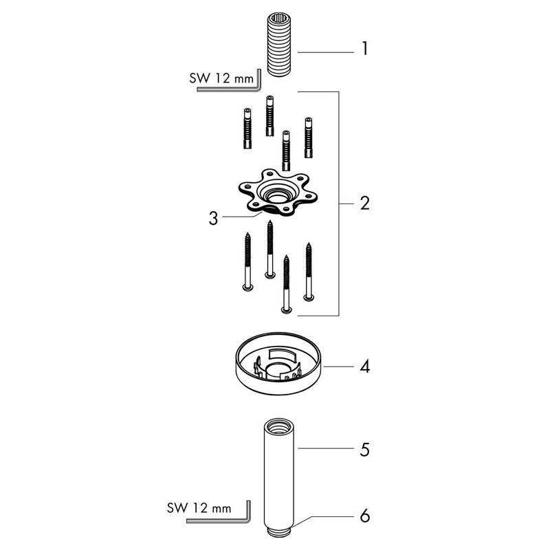Brat de dus Hansgrohe montaj pe tavan, lungime 10 cm, auriu lucios - imagine 2