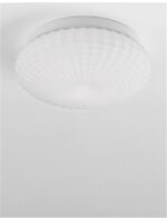 Plafoniera Nova Luce Clam, sticla opal, 2x12 W, cod 9738256 - imagine 5
