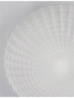 Plafoniera Nova Luce Clam, sticla opal, 2x12 W, cod 9738256 - imagine 4