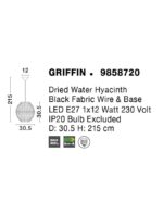 Pendul Nova Luce Griffin, 1x12W, cod  9858720 - imagine 3