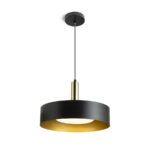 Suspensie Rendl Giulia 40, led E27, 30W, negru/auriu