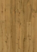 Parchet laminat Quick Step Impressive 8256, 8 mm, stejar trufă